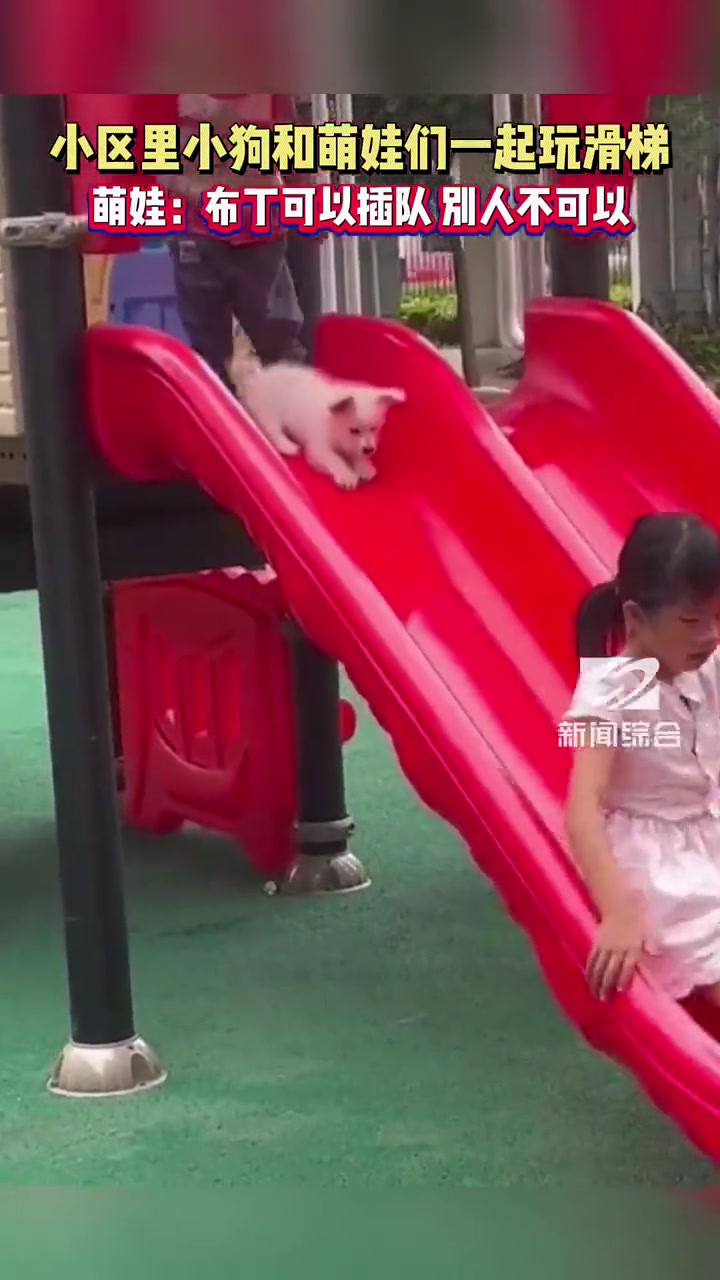 小区里，小孩带着小狗子一起玩滑梯