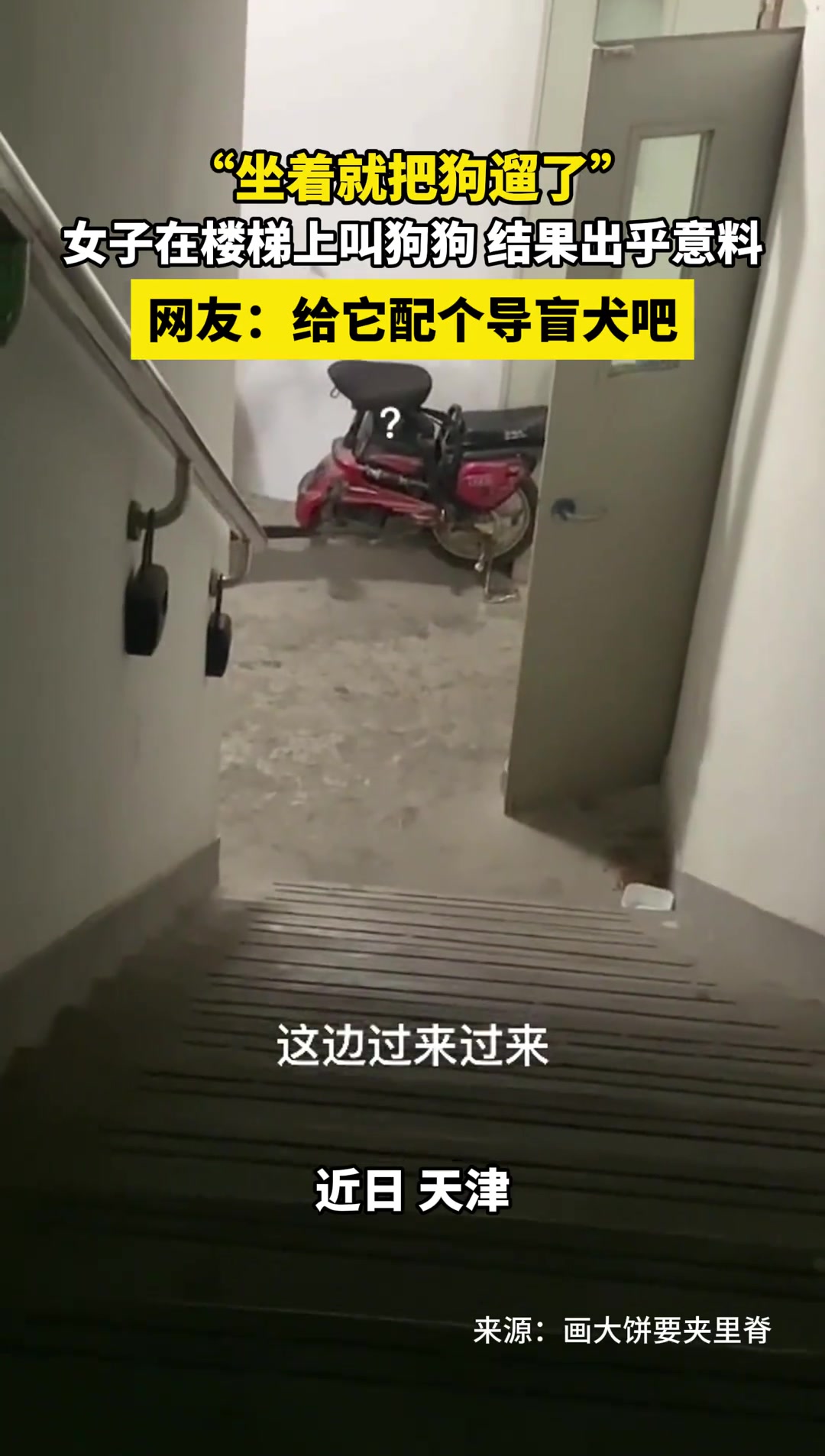 女子在楼梯间叫狗子，坐着就把狗遛了