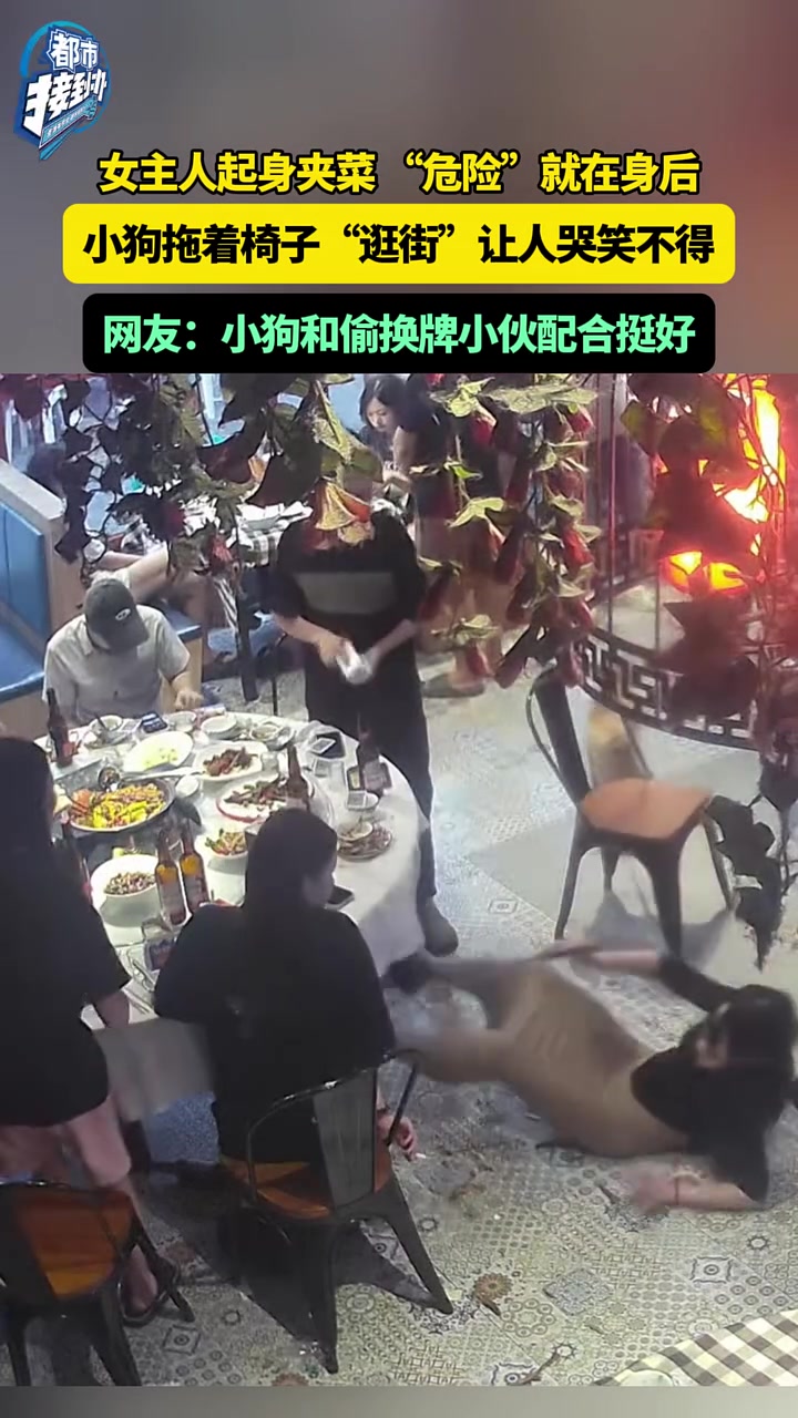 狗子：你们先吃我去溜达一圈