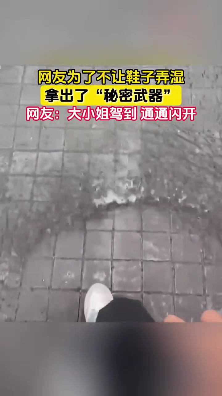 绝对不会湿！带了一个避水金睛兽在身上