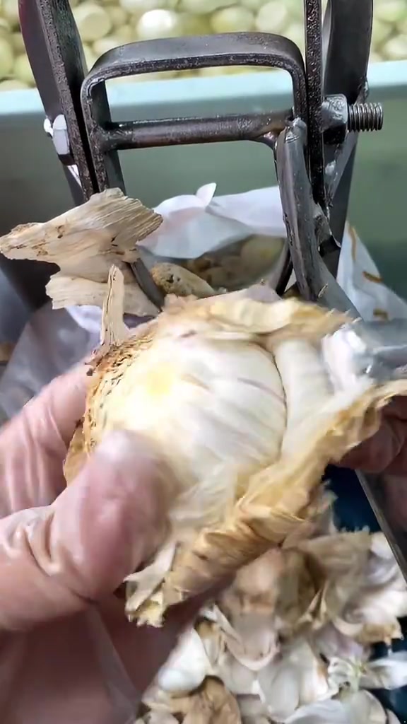 这皮比裹脚布还多！以后改叫洋葱得了！