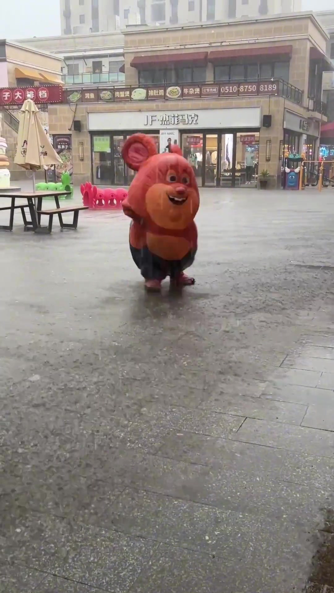 短短几秒从阳光小鼠鼠变成饱经沧桑的老鼠鼠