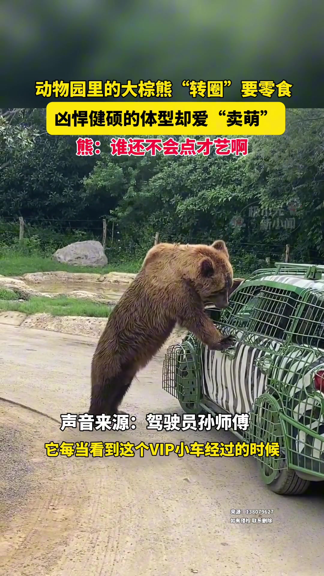 熊：谁还不会点才艺啊！！