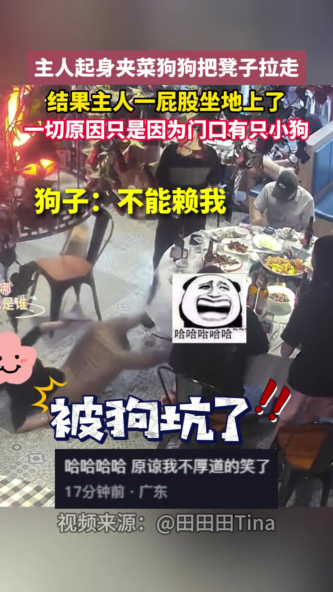 主人起身夹菜狗狗把凳子拉走结果主人一屁股坐地上了