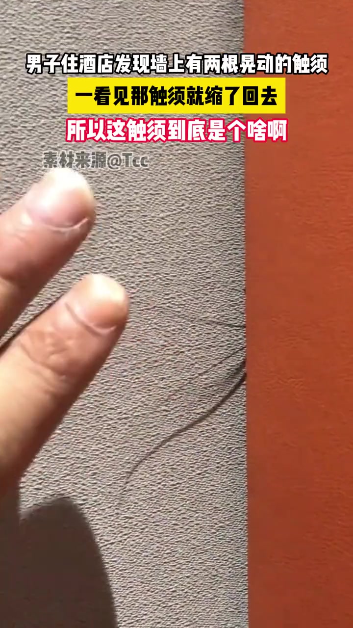 几种可能：1：双马尾美少女2：吕布3：大圣！网友：二螂神！