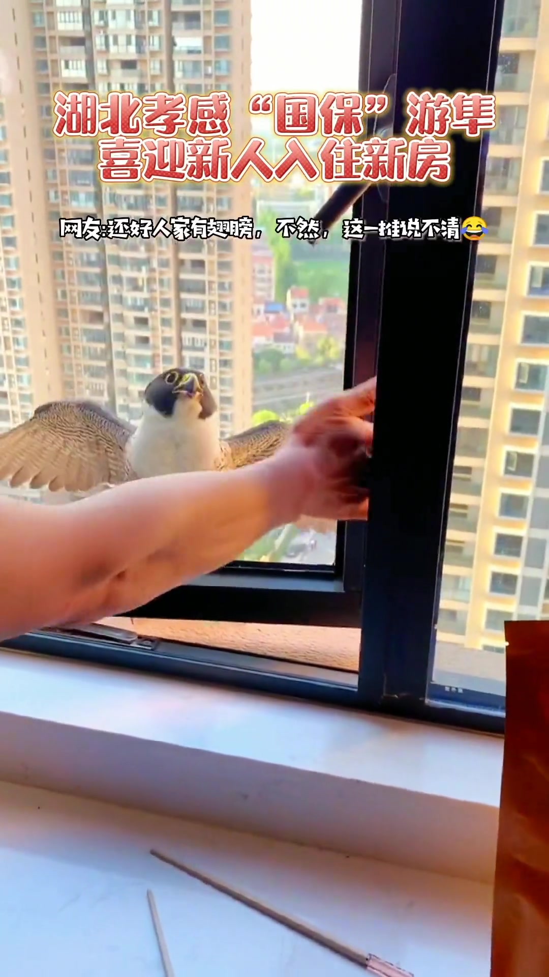 这哪是什么妖孽这分明就是祥瑞！！