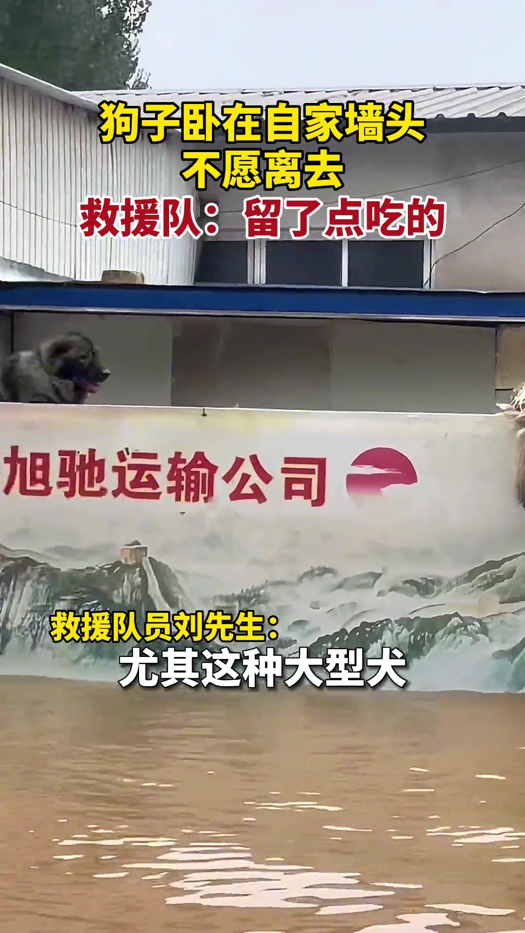 就算遇到生命危险，也要继续看家护院！