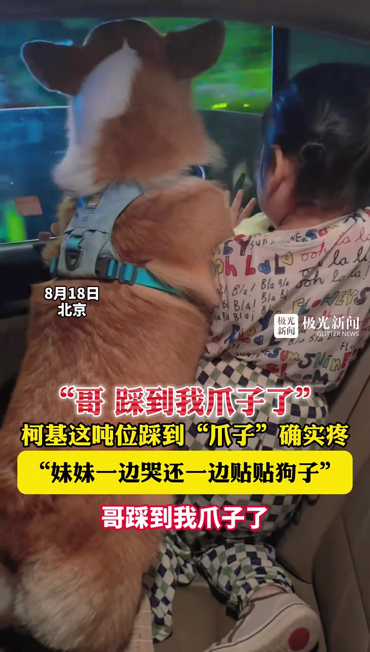这吨位大人也受不来哦！妹妹：哥，你踩我爪子了！