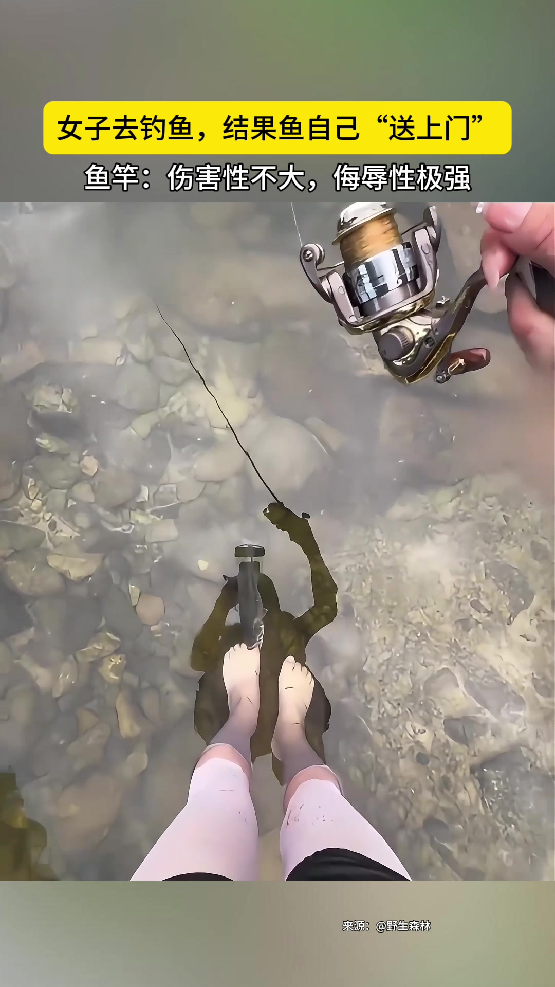 女子去钓鱼，结果鱼自己送上门，伤害性不高侮辱性极强