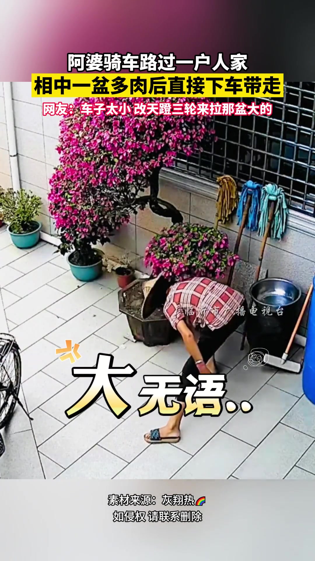 阿婆骑车路过一户人家，端盆多肉后直接骑车带走