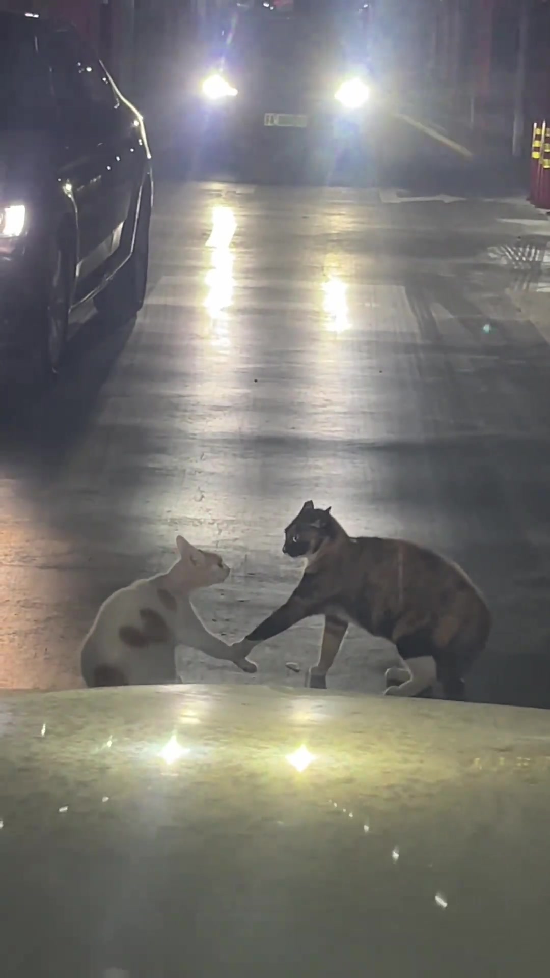 爱一个人是不会离开的！我掉头！