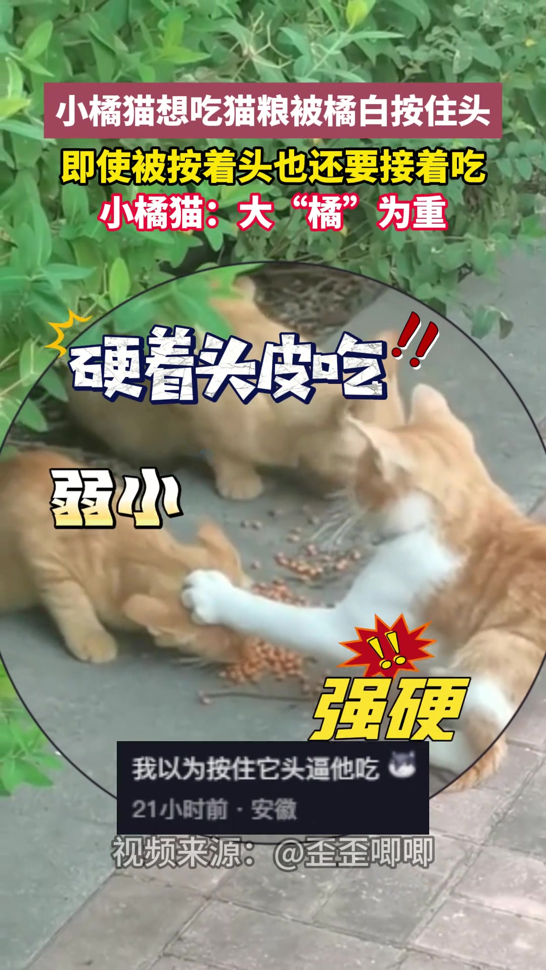 是不是像极了小时候的我们，饭没吃完不许离开