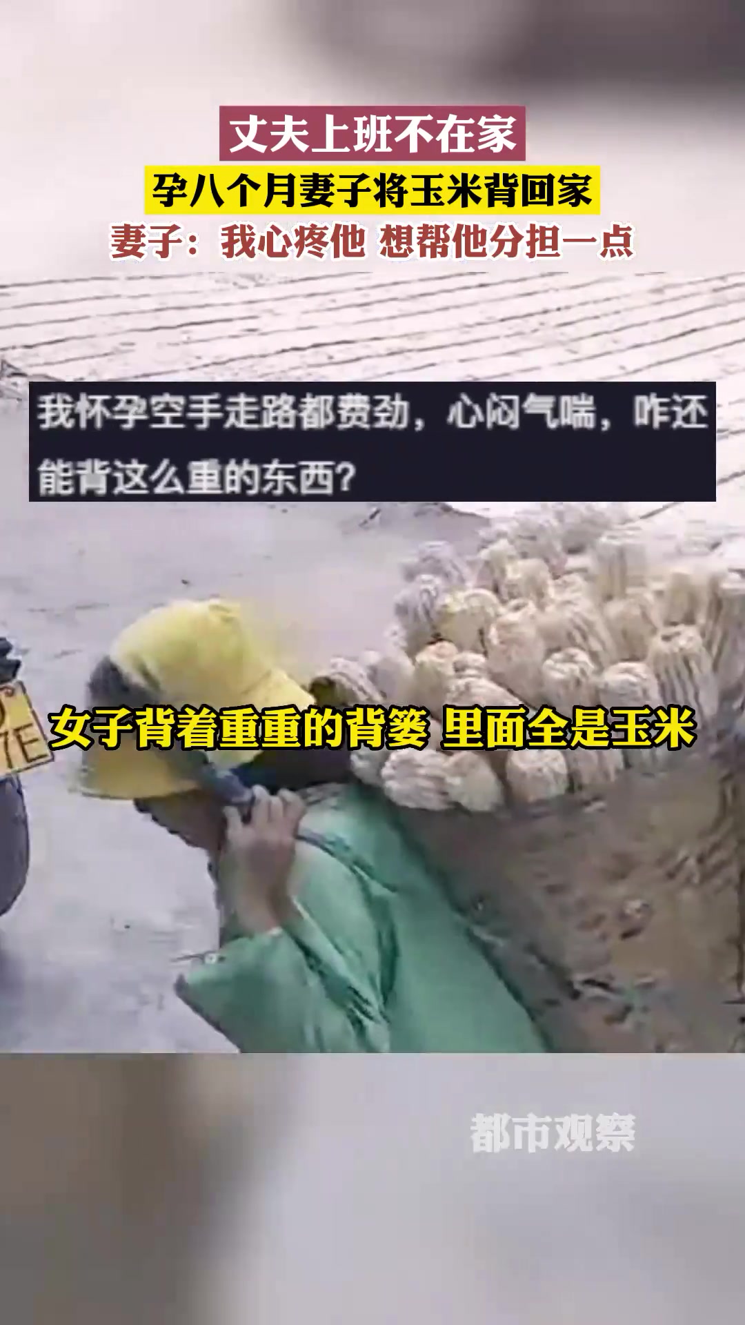 丈夫上班不在家，孕八个月妻子将玉米背回家