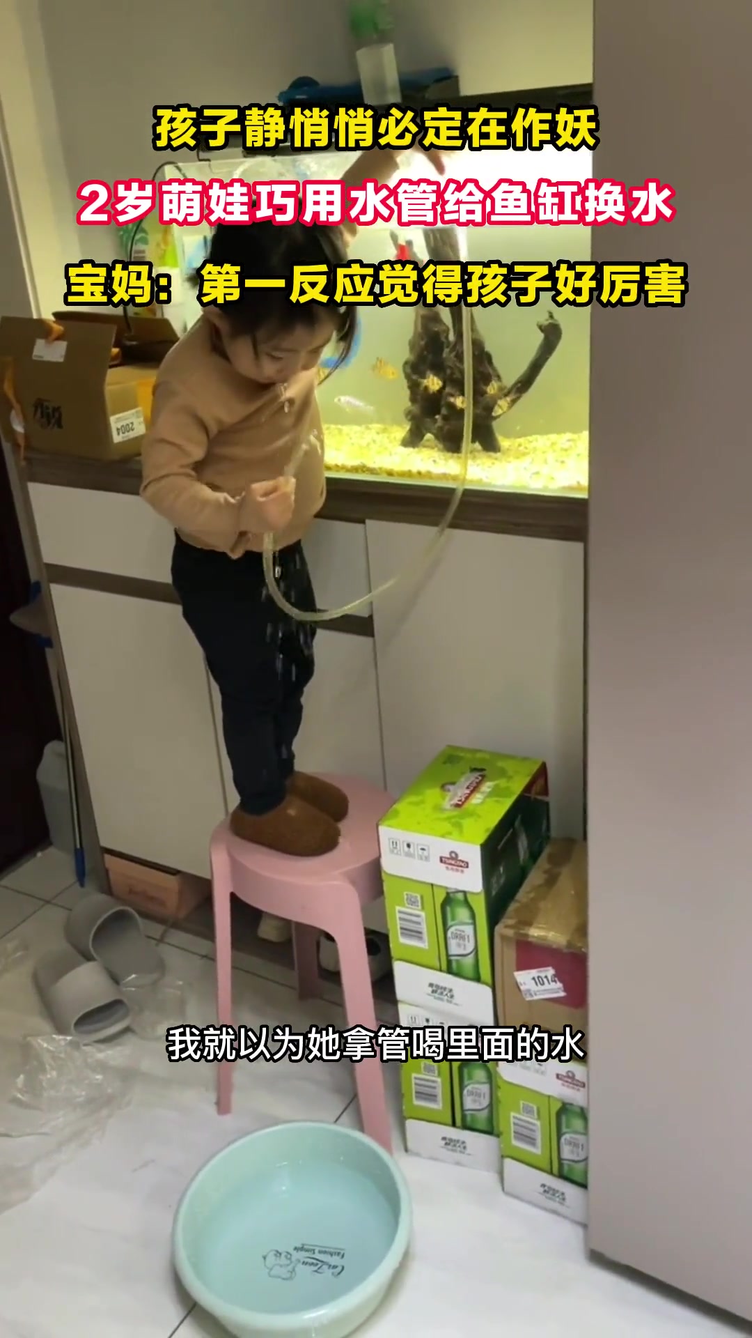 两岁萌娃巧用水管给鱼缸抽水