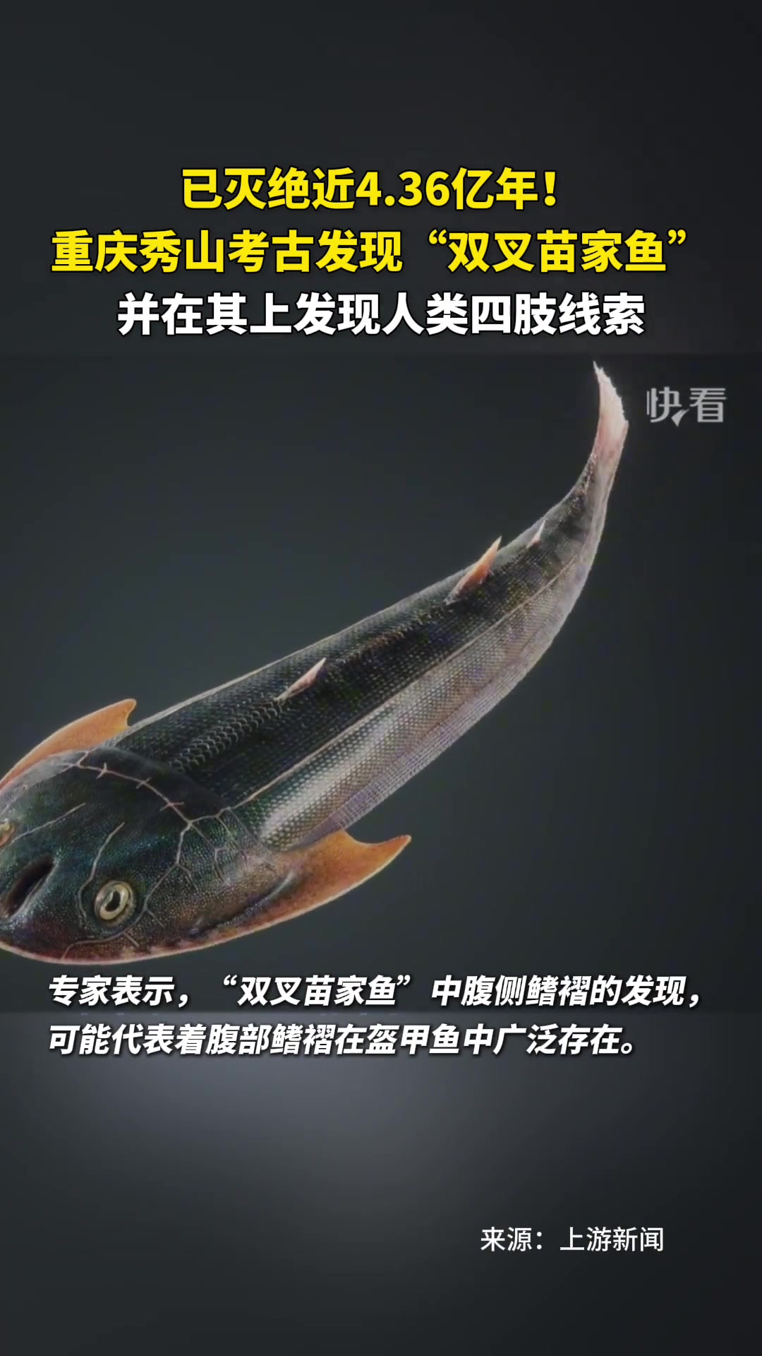 远古的信息！考古发现4亿年前人类四肢线索！