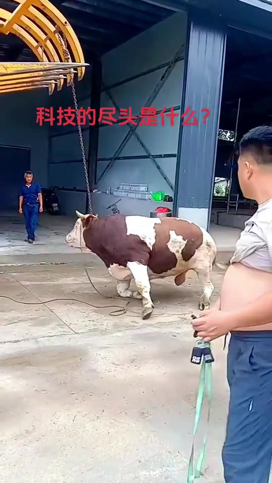 强壮如牛，亦有死穴！！