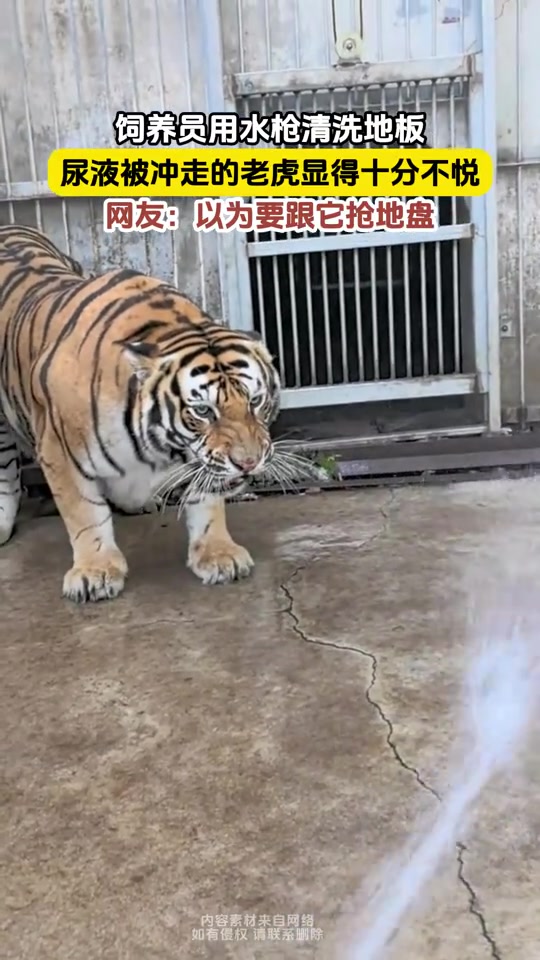 你是不是想抢我地盘你！！