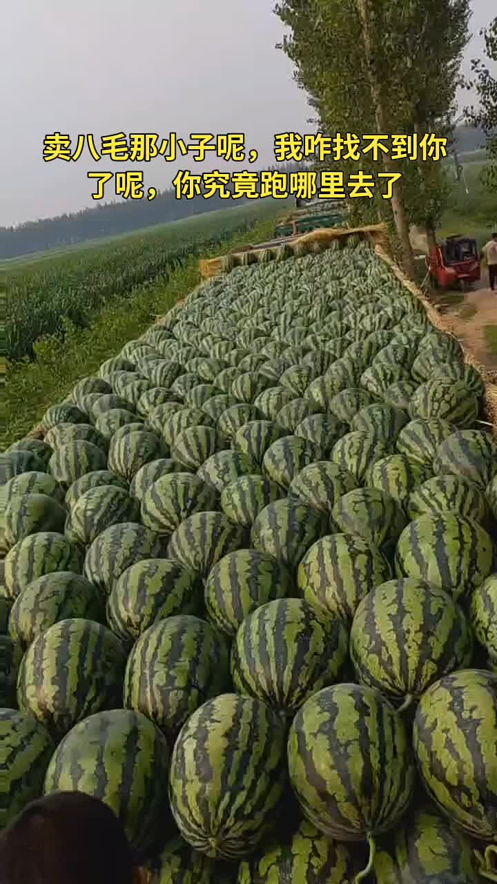 是进了佛祖的瓜田了吃了能延年益寿吗