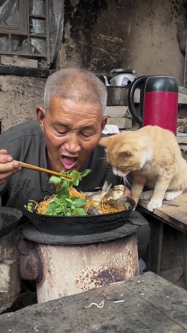 善良的老人有一口饭吃，就不会饿着猫咪