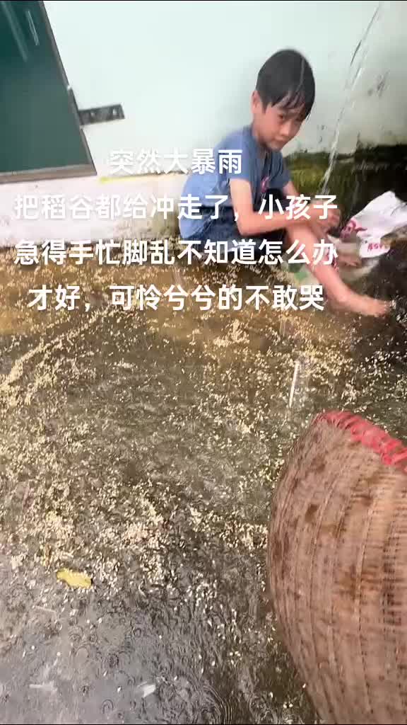 想想都觉得心酸，只有经历过才知道农民有多辛苦