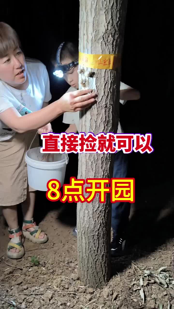 我小时候怎么都不知道有这种商机！可惜了