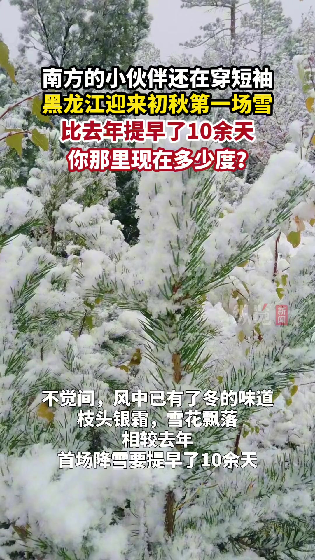 9月12日，黑龙江大兴安岭迎来初秋时节第一场降雪