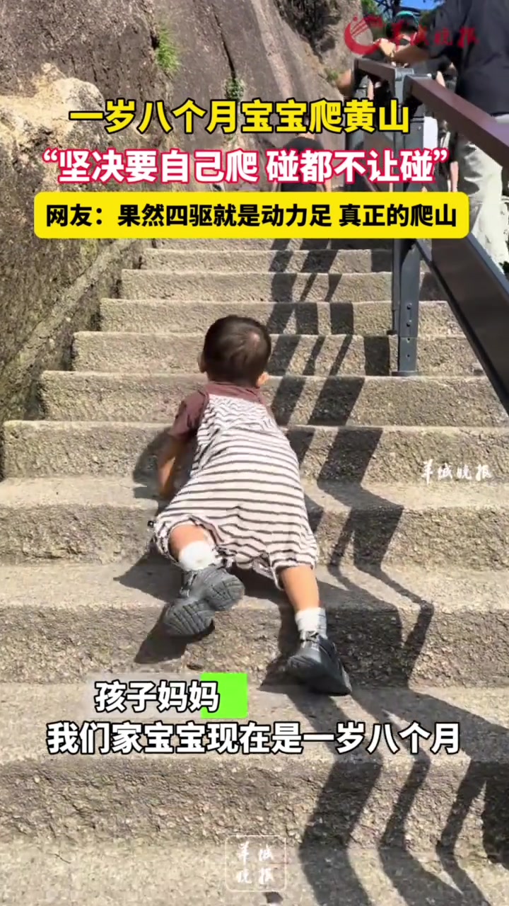 一岁八个月宝宝爬黄山，“坚决要自己爬碰都不让碰”