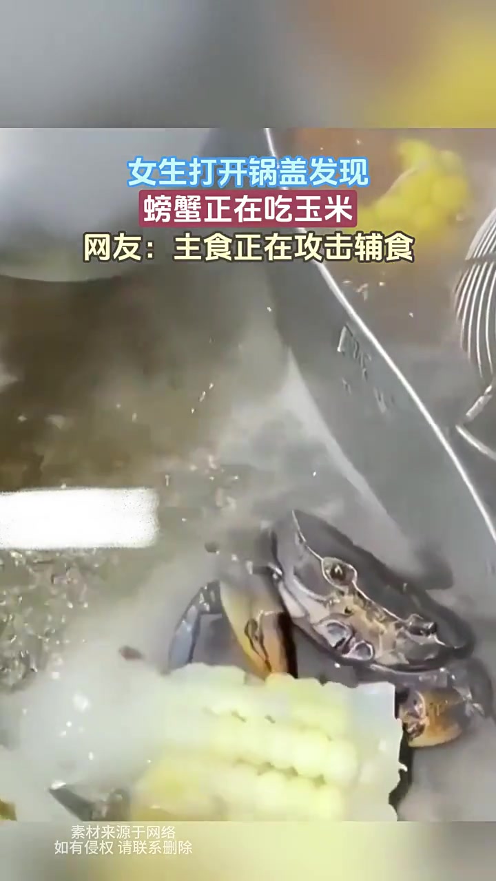 “你的主食在吃你的配菜”