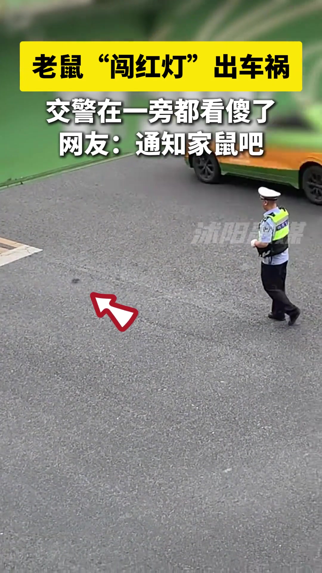 交警：我是不是该通知家鼠了！！