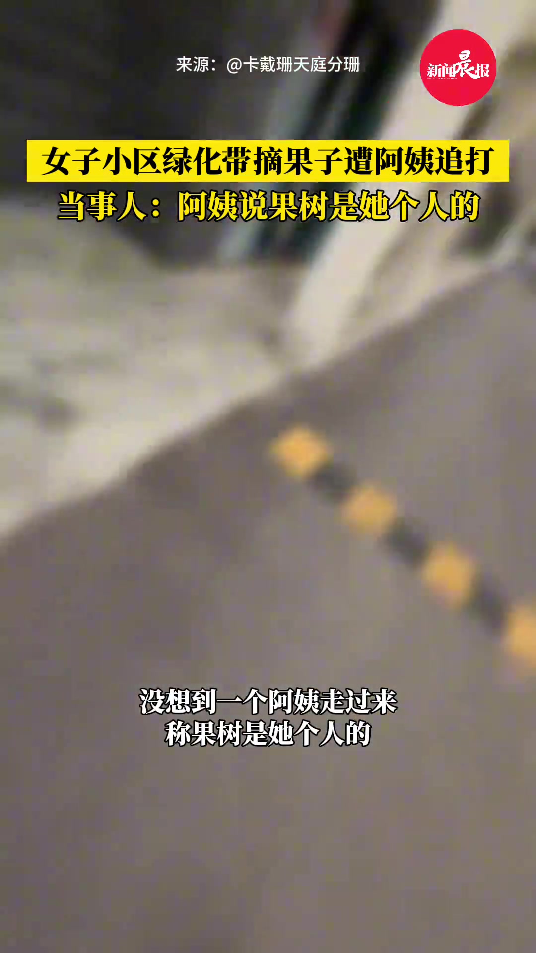 女子摘绿化带果子，竟遭阿姨追打称果树是她个人的