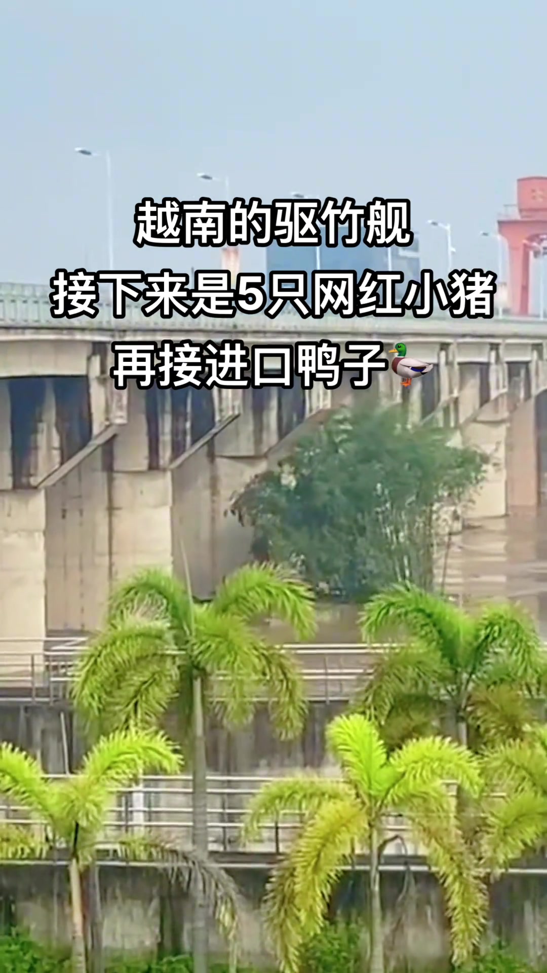 越南的河里竟然出现驱竹舰！