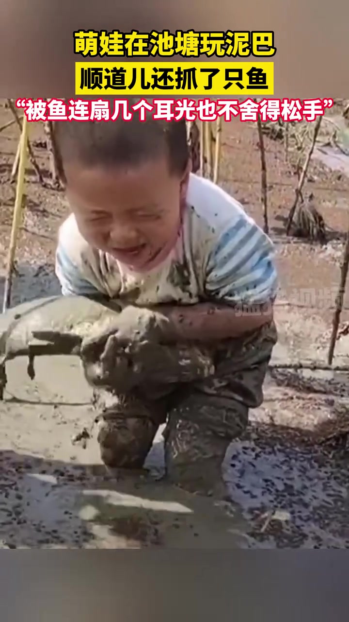 萌娃被鱼连扇几个耳光也不舍得松手！