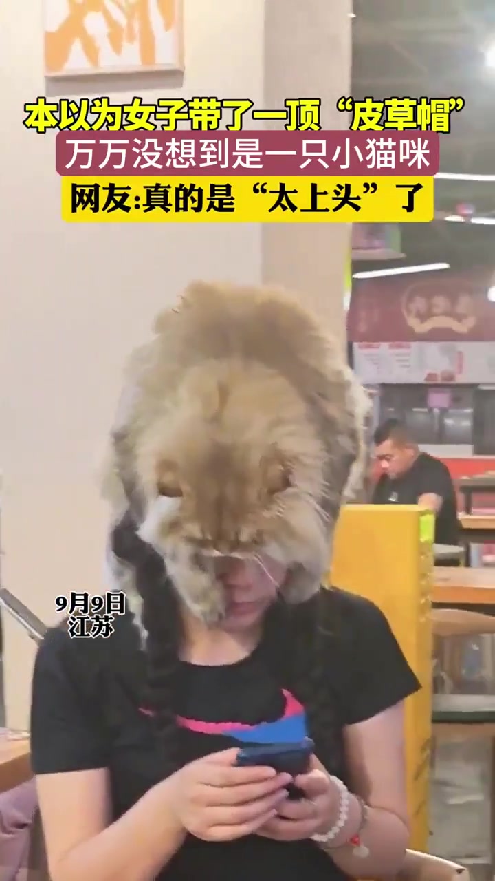 本以为女子带了一顶“皮草帽”，万万没想到是一只小猫咪