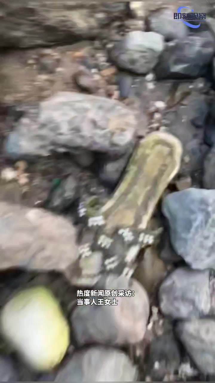 女子赶海以为捡到珍珠了，一翻开石头直接无语了