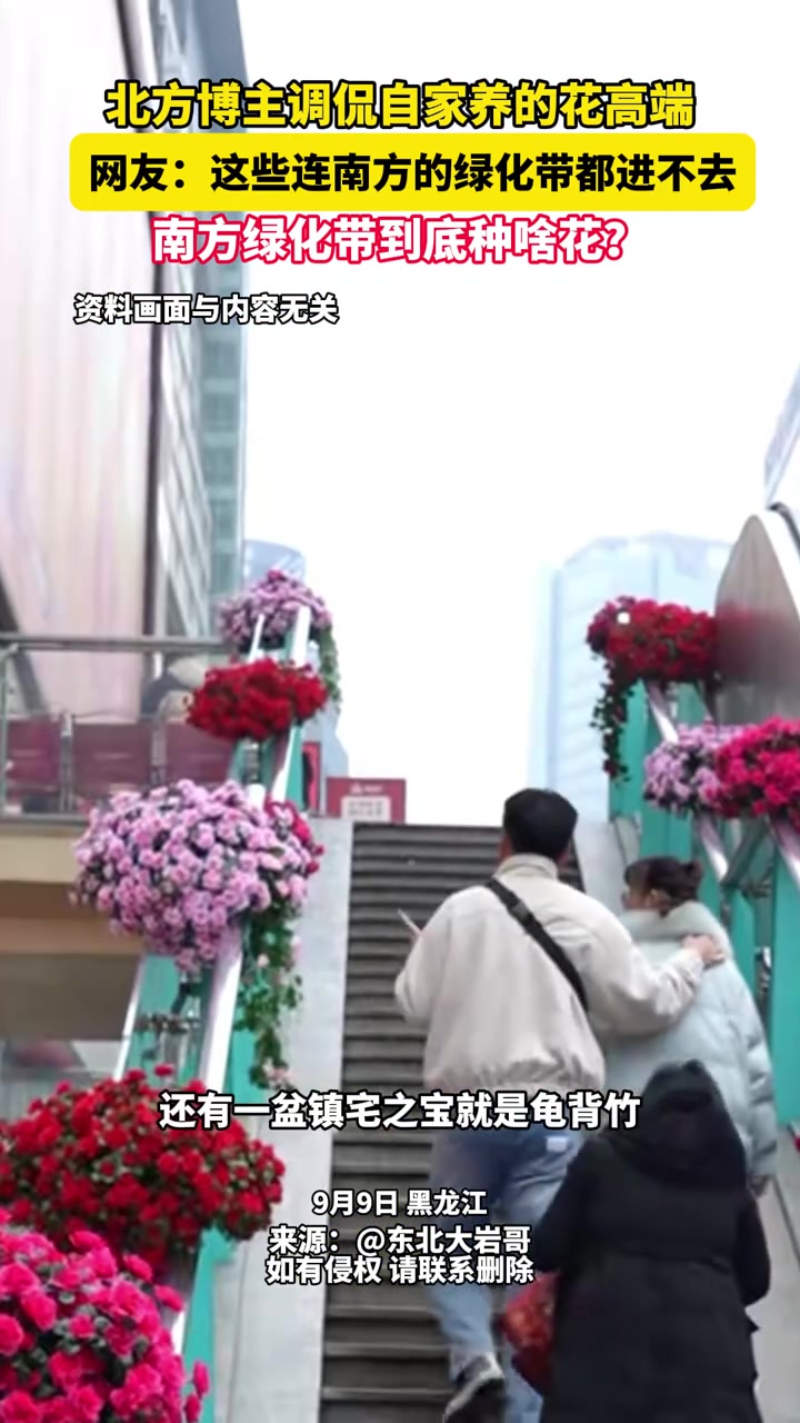 北方博主调侃自己养的花高端，南方网友：你说得对