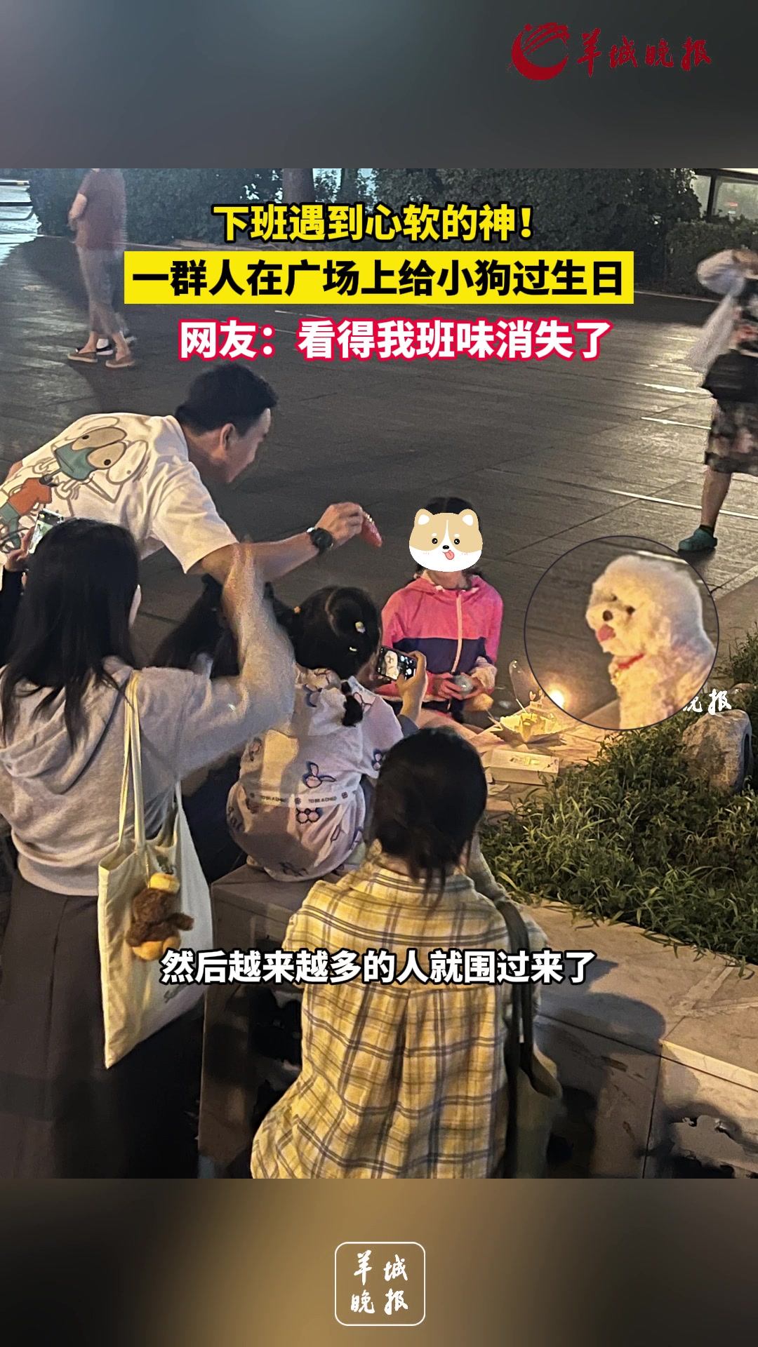 一群人在广场上给狗子过生日