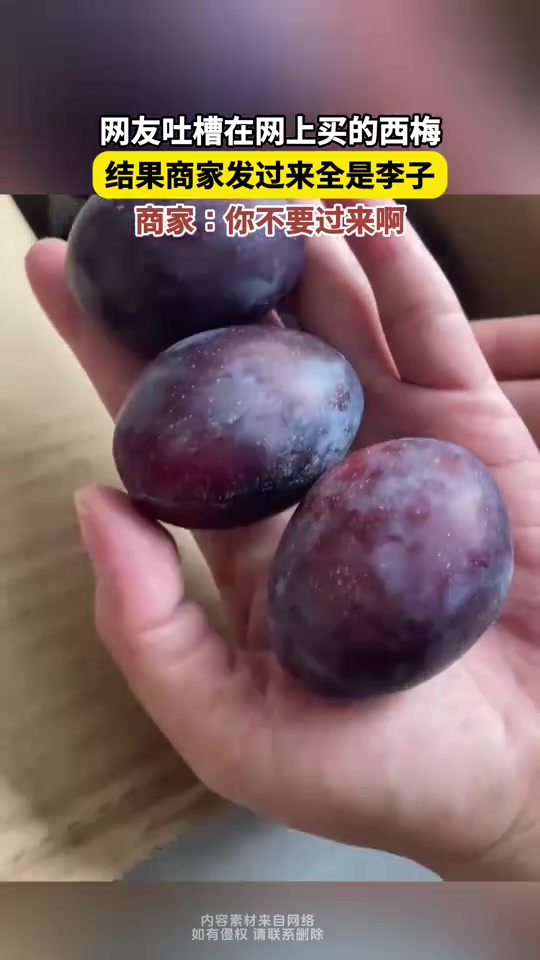 网友吐槽，网上买西梅，商家发过来李子