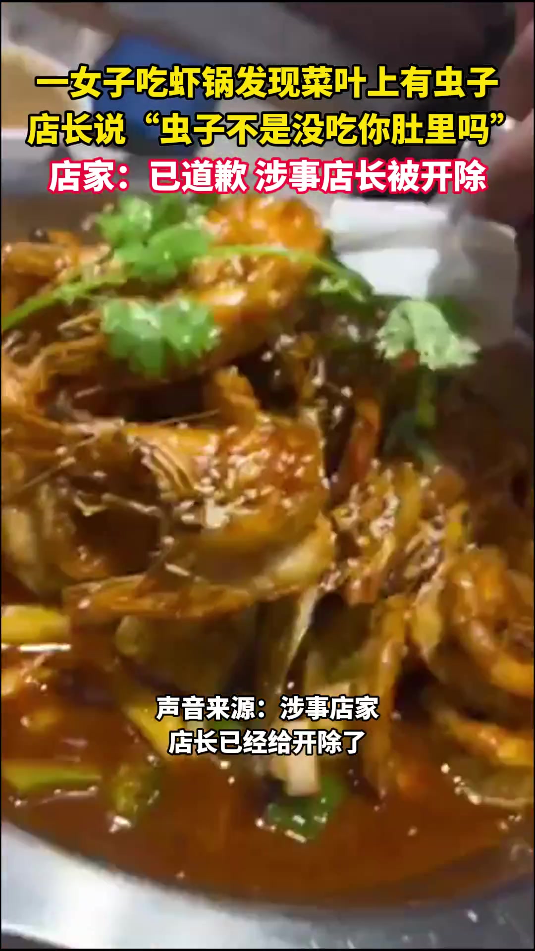 一女子吃虾锅发现菜叶上有虫子店长：虫子不是没吃你肚里吗
