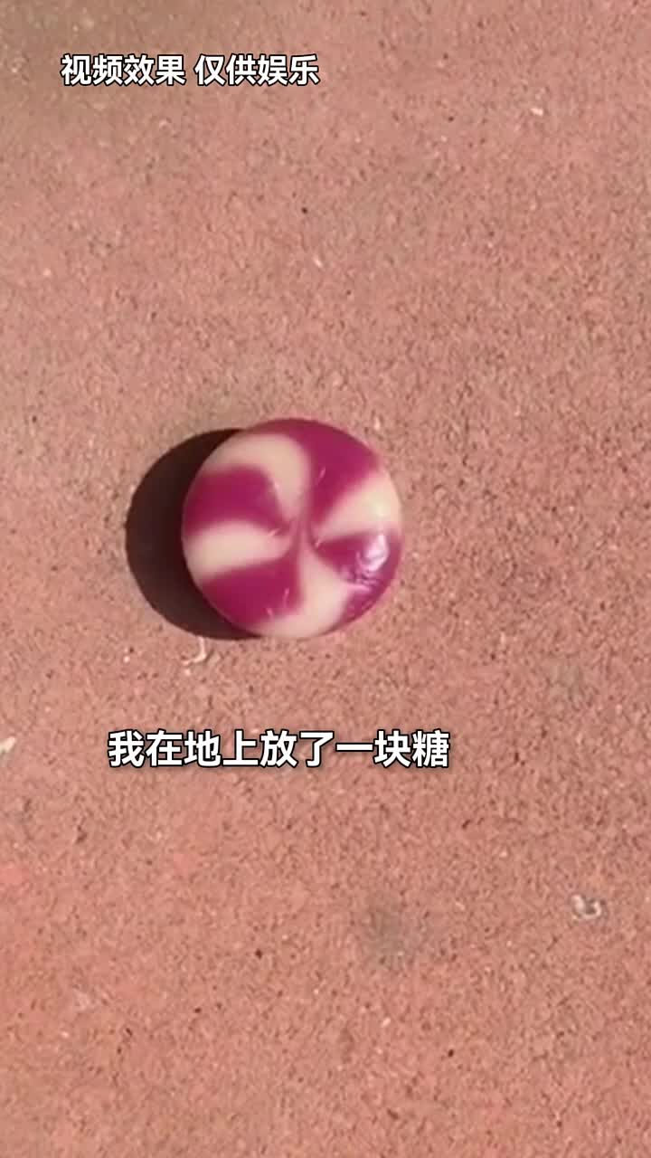 蚂蚁：滴我把你放心里你把我们踹沟里