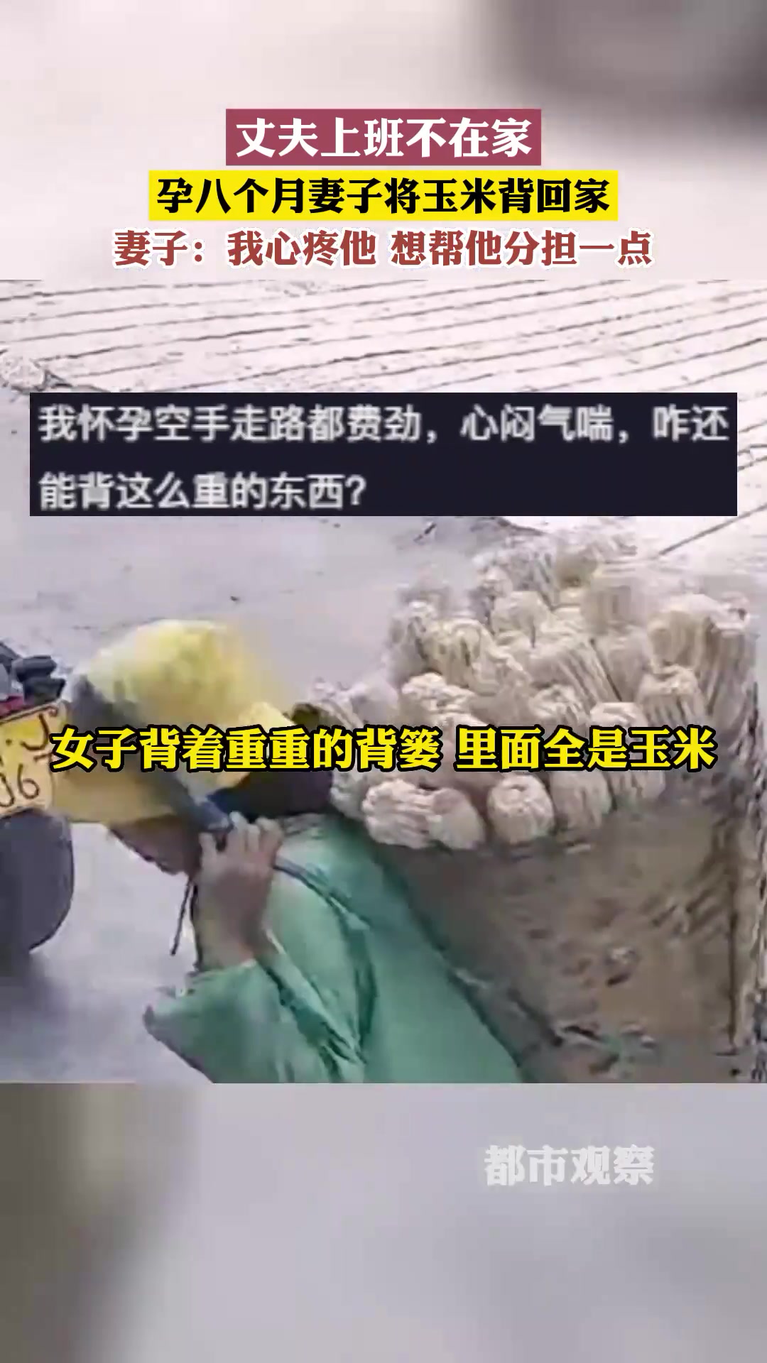 丈夫不在家孕8个月妻子背玉米回家！最希望主人公偷懒的一集！