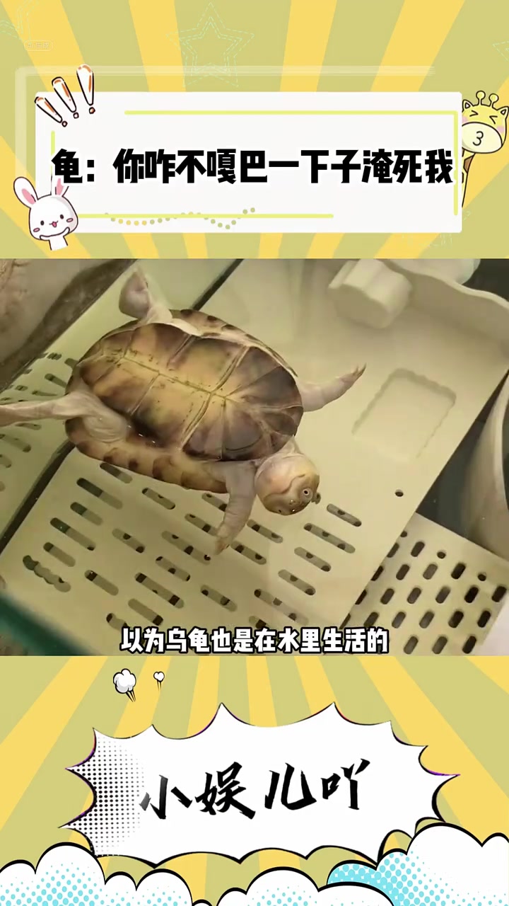 找到了话题找不到活命的氧气！