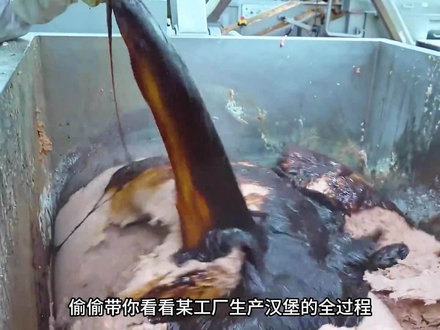 某工厂生产汉堡的全过程！看完你再决定以后吃不吃汉堡了