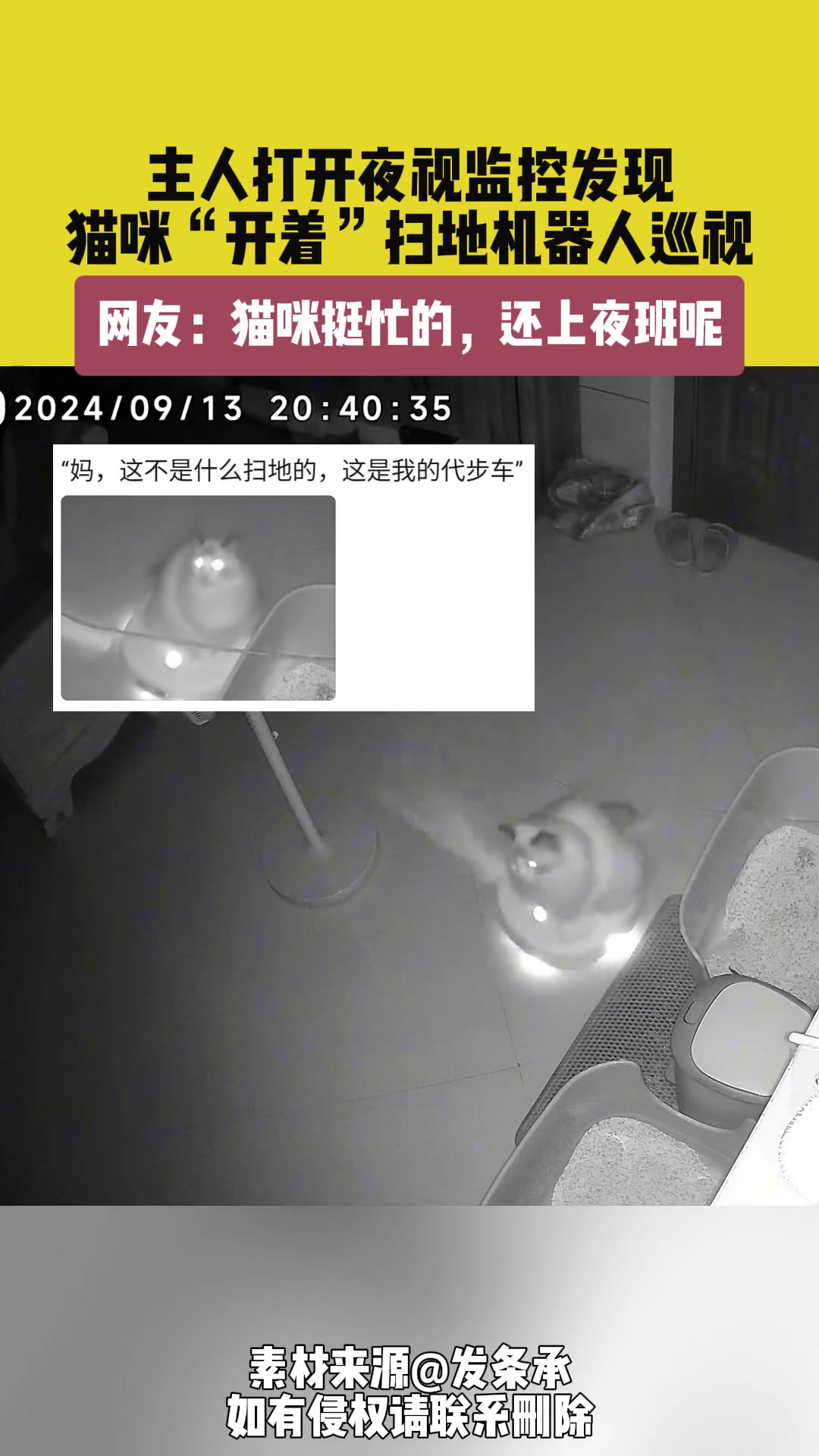 主人打开监控惊奇发现，猫咪竟“开着”扫地机器巡视