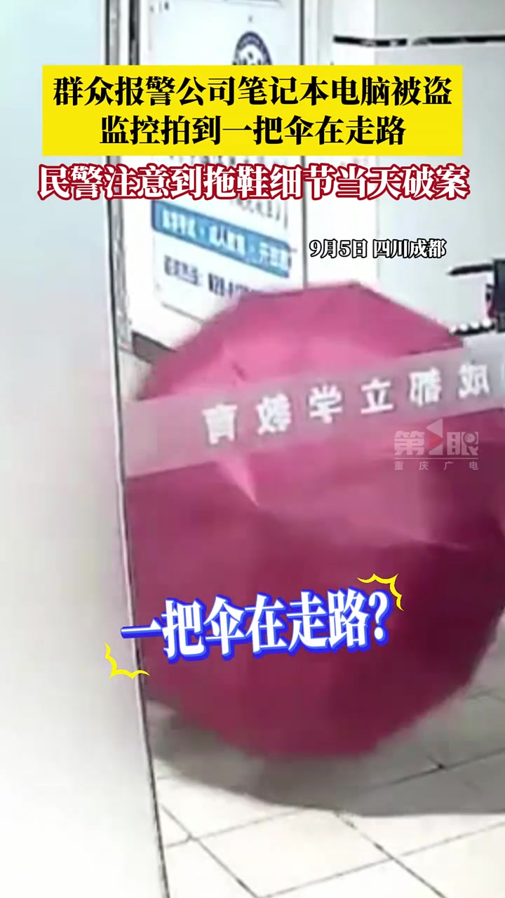 群众报警公司的笔记本电脑被盗，监控拍到一把伞在走路