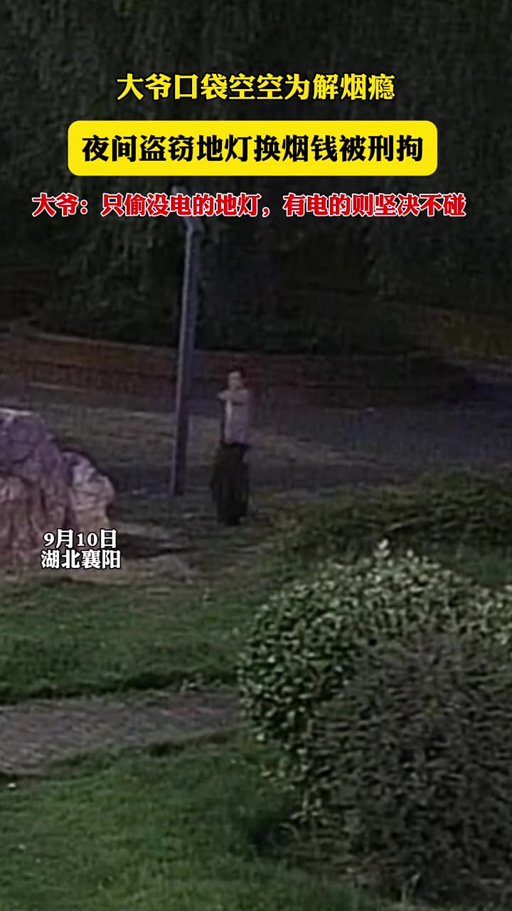 大爷夜间盗窃地灯竟然是为了最后被刑拘！