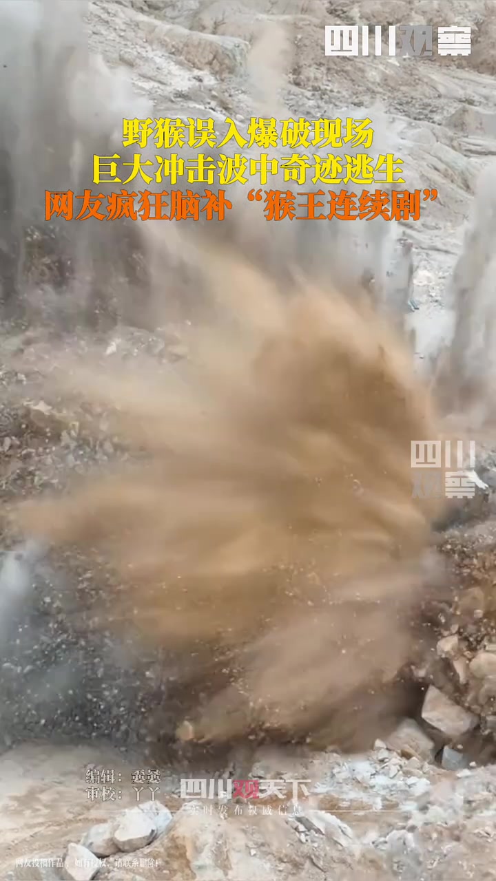 野猴误入爆破现场奇迹成功逃生，网友脑补“猴王连续剧”