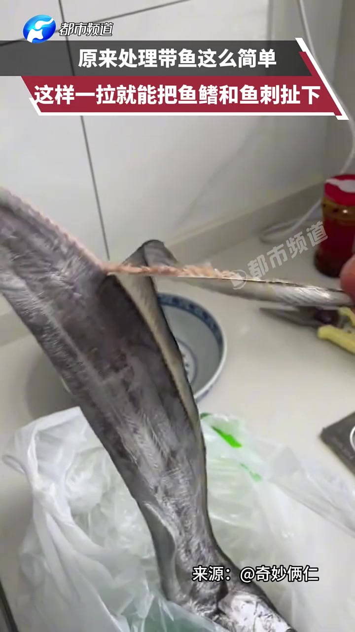 原来处理带鱼这么简单，这样一拉就能把鱼鳍和鱼刺扯下！！