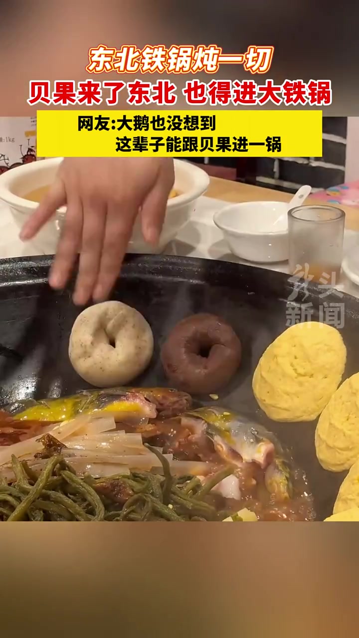东北铁锅炖一切，贝果来了东北也得进大铁锅！！