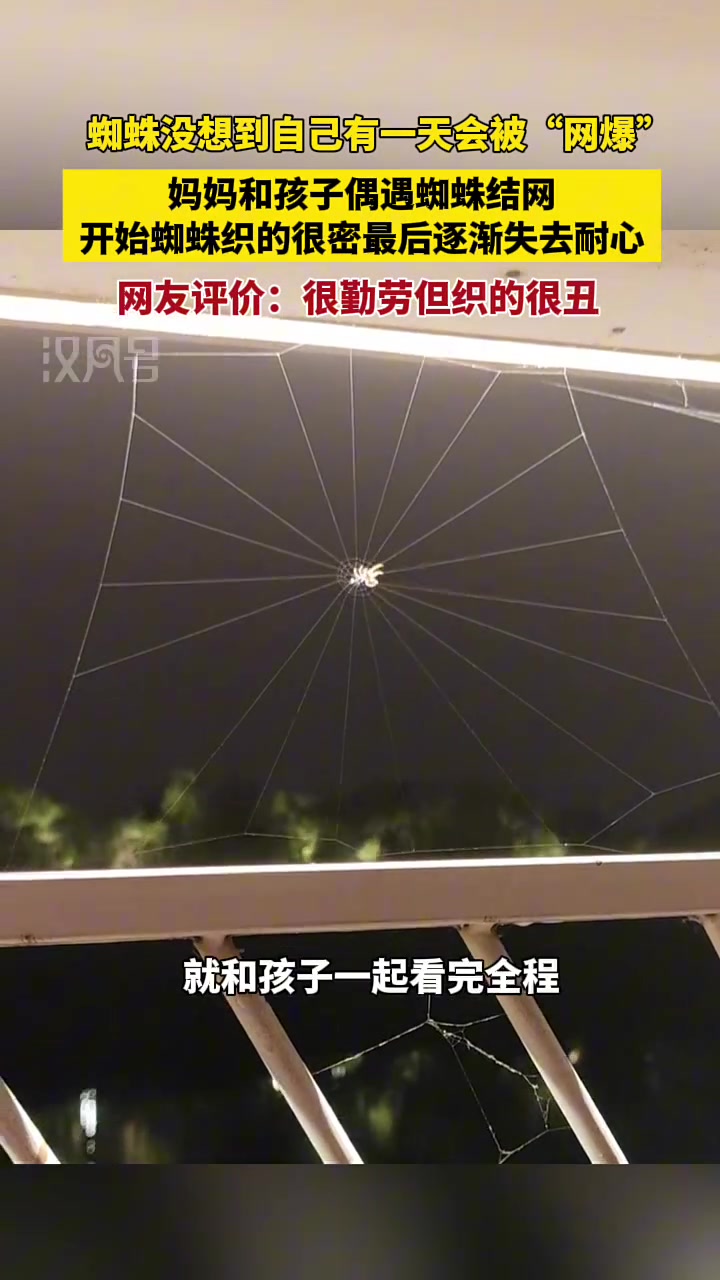 蜘蛛：没想到自己有一天会被“网爆”！