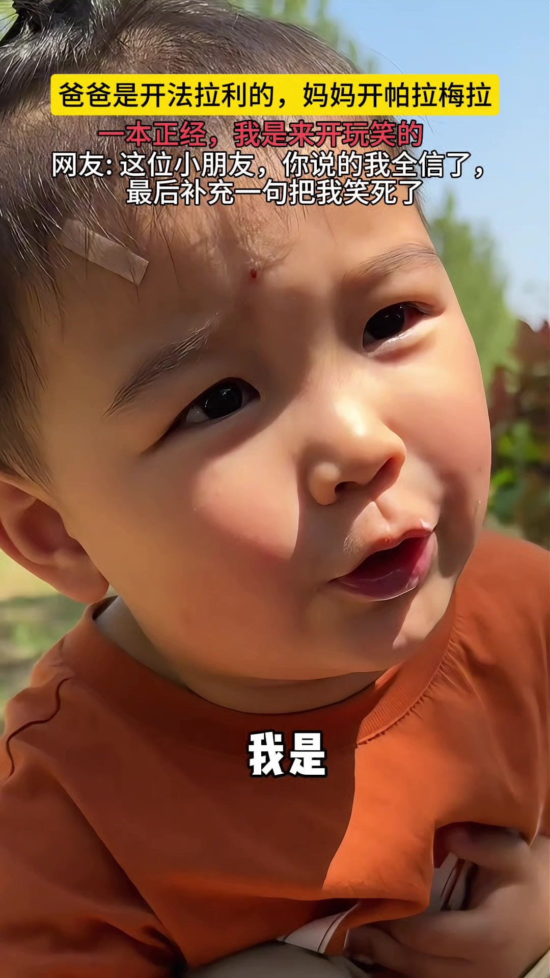 这位小朋友，你说的我全信了，但是你最后补充一句把我笑死了